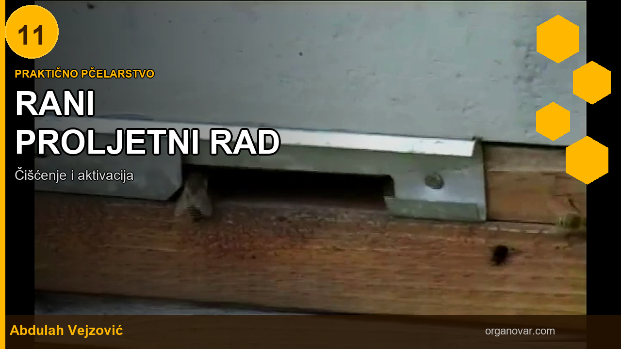 Rani proljetni period